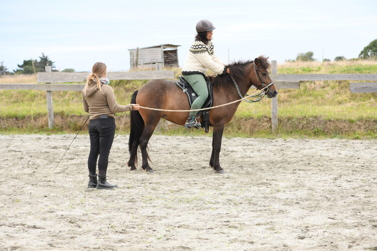 Tabea de l’association Libea monte un cheval islandais bai en licol, tandis que Lisa, à pied, guide le cheval en longe dans une carrière extérieure.