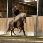 Tabea de l’association Libea monte Frodo vom Nahetal, cheval islandais alezan foncé à la crinière argentée, au galop dans une carrière couverte en bois.