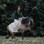 Tabea de l'association Libea montant Phönix, cheval islandais gris, sous la pluie dans un pré entouré d’arbres