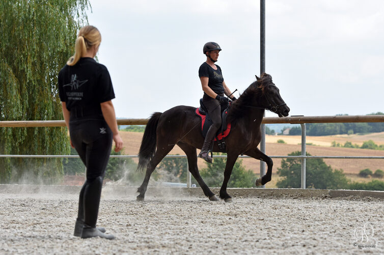 Lisa de l’association Libea observe un cavalier travaillant un cheval islandais noir en carrière extérieure, lors d’un cours individuel, sur fond de campagne bretonne.