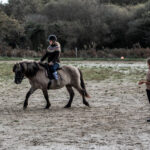 Lisa de l’association Libea encadrant une cavalière pendant une séance de travail en week-end autour du cheval islandais